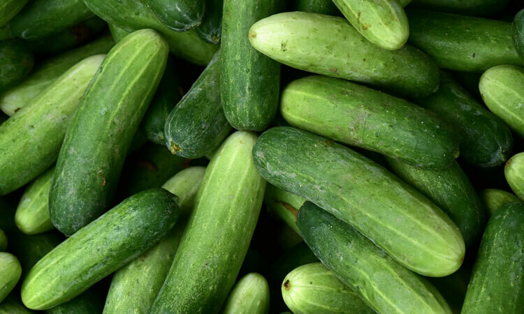 Jersey Cucumbers
