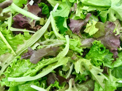 Organic Spring Mix (clam shell)
