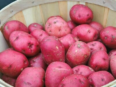 Red Potatoes