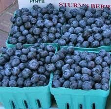 Blueberries (pint)