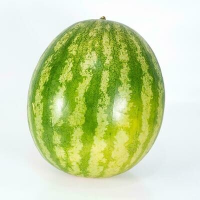 Seedless Watermelon