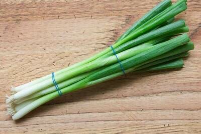 Scallions