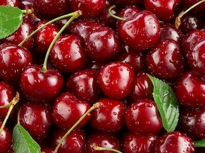 Bing Cherries (Washington)