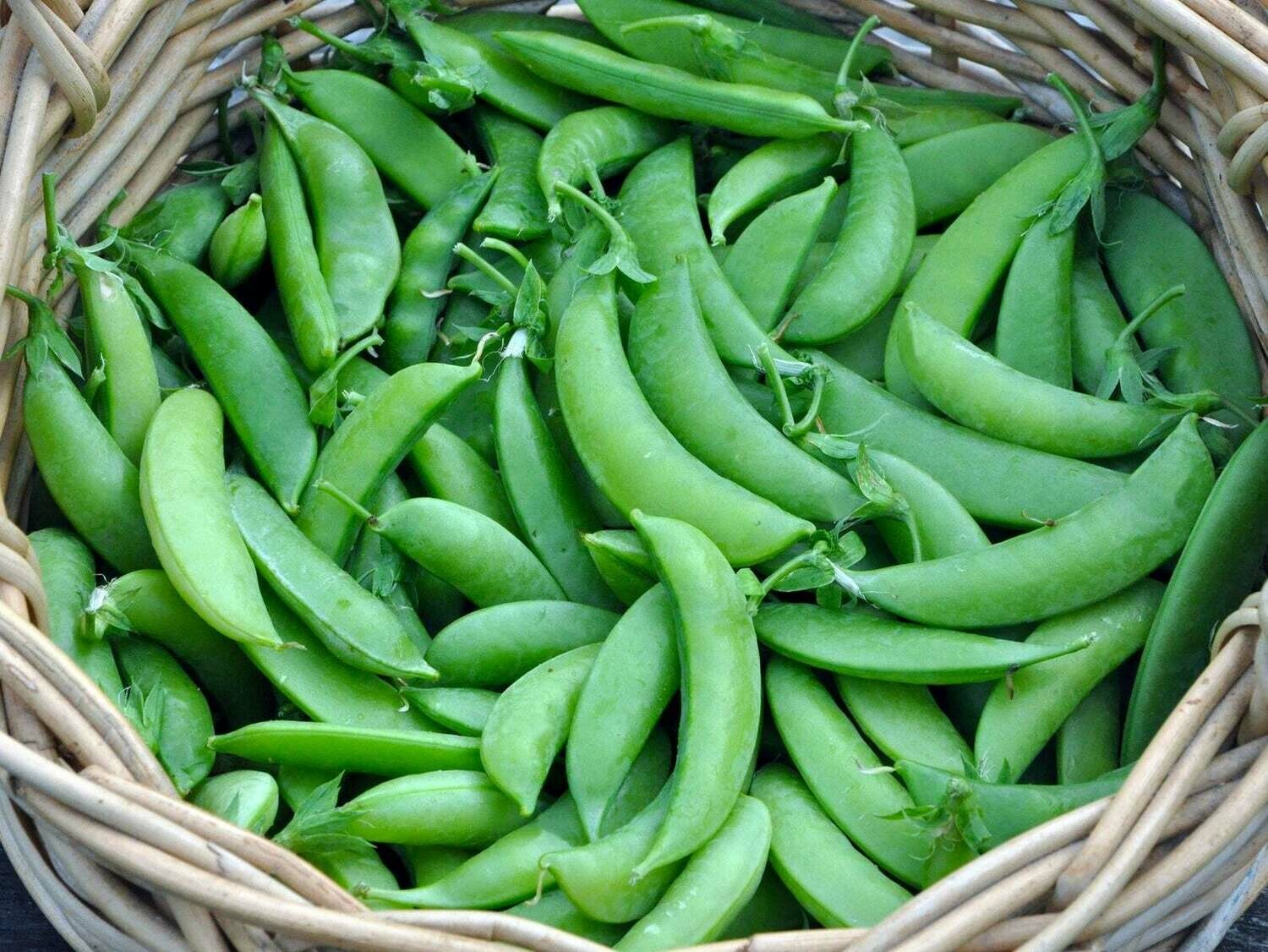 Jersey Sugar Snap Peas