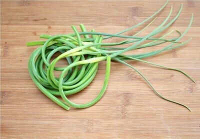 Jersey Garlic Scapes (a Bunch)