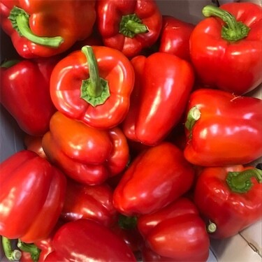 Canadian Red Bell Peppers