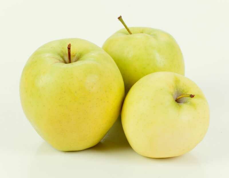 Jersey Blondie Apples Jersey Blondie Apples