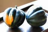 Jersey Acorn Squash