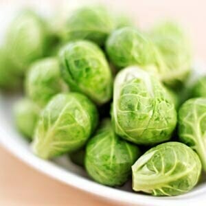 Brussel Sprouts Brussel Sprouts