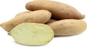 Jersey White Sweet Potatoes Jersey White Sweet Potatoes