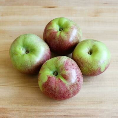 Jersey Macoun Apples