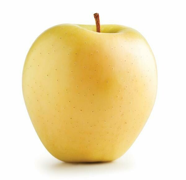 Jersey Golden Delicious Apples Jersey Golden Delicious Apples