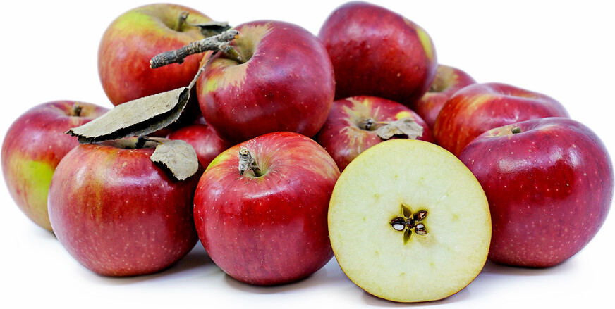 Jersey Winesap Apples Jersey Winesap Apples