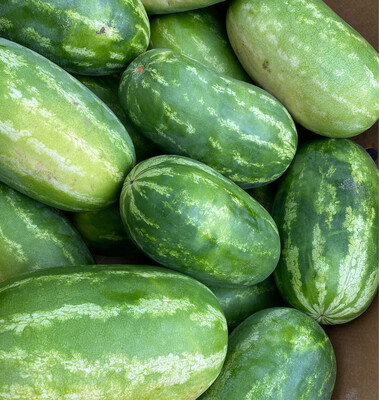Seeded Watermelon