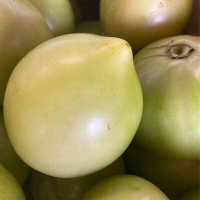 Jersey Green Tomatoes