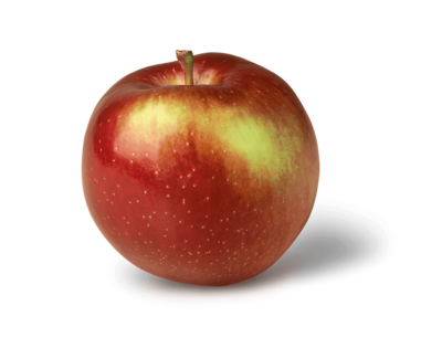 Jersey Empire Apples