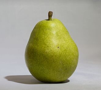 D'Anjou Pears