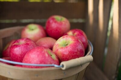 Jersey Pink Lady Apples