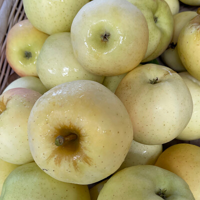 Jersey Blondie Apples