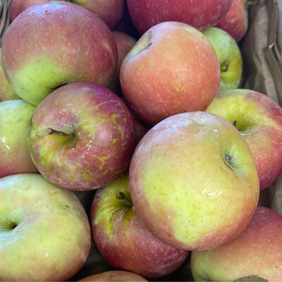 Jersey Fuji Apples