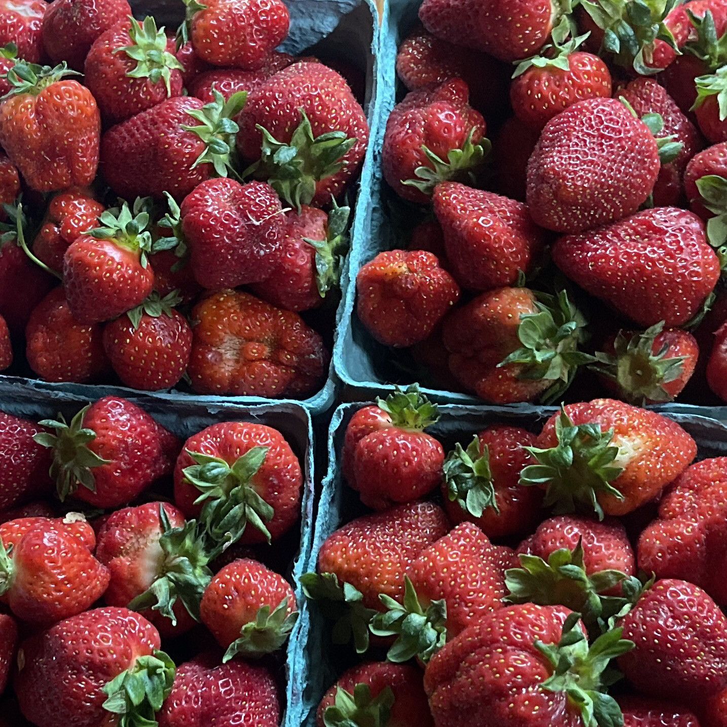 Jersey Strawberries (1 Quart)