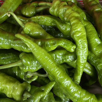 Jersey Italian Long Hot Peppers