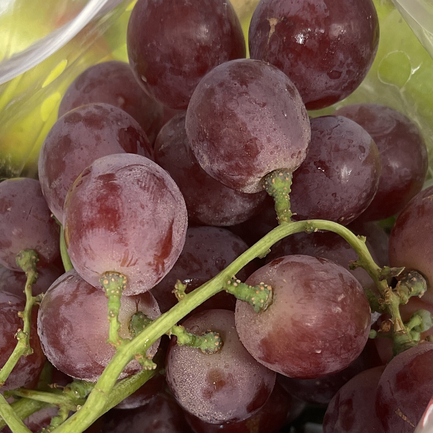 Red Seeded Grapes