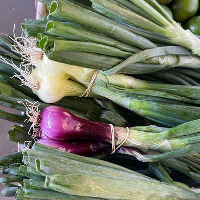Jersey Mixed Onions (A Bunch)