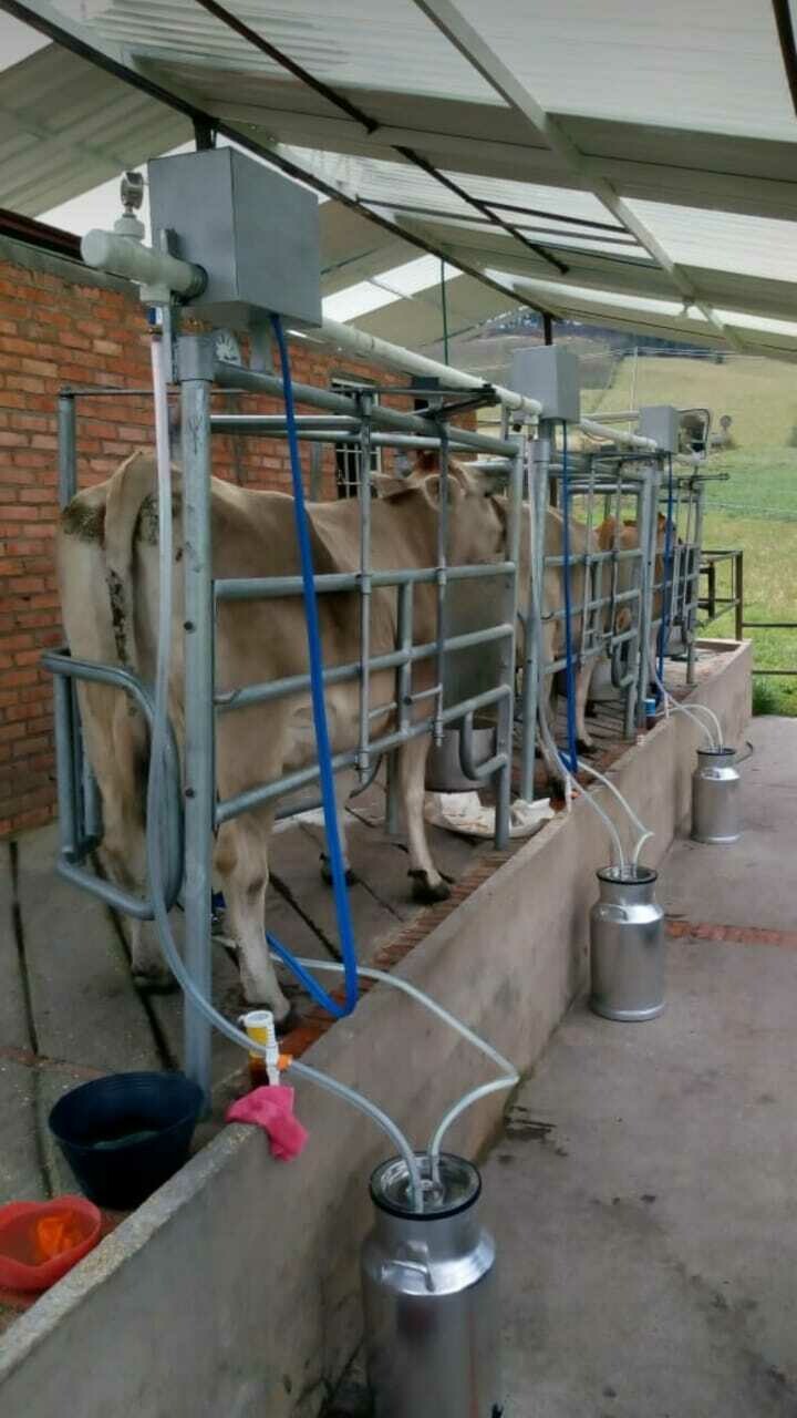 Equipo de Ordeño Fijo 3 puestos para vacas