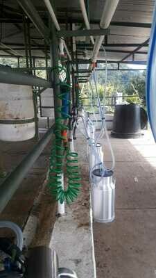 Equipo de Ordeño Fijo 4 puestos para vacas | Tienda | SUPLAGRO