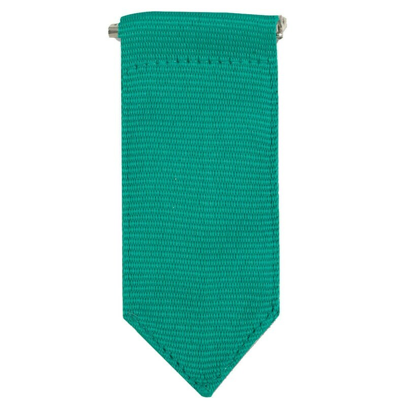 GIRL SCOUT JUNIOR INSIGNIA TAB - GREEN