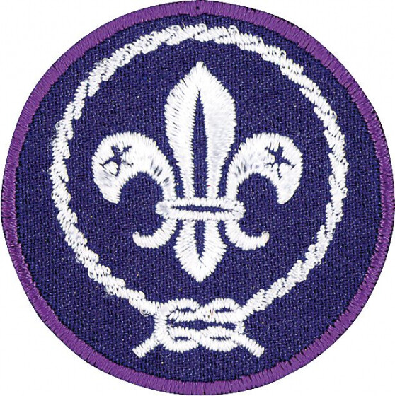 World Scouting Crest Emblem 