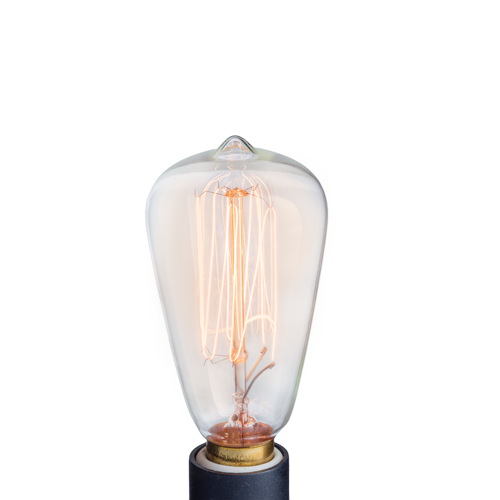 Vintage Style Light Bulb