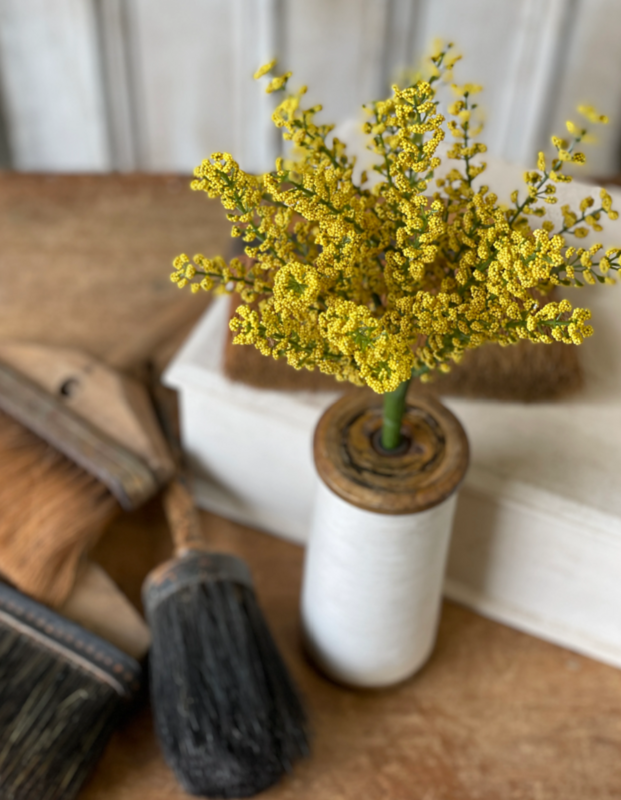 10.5" Bursting Astilbe Sunshine