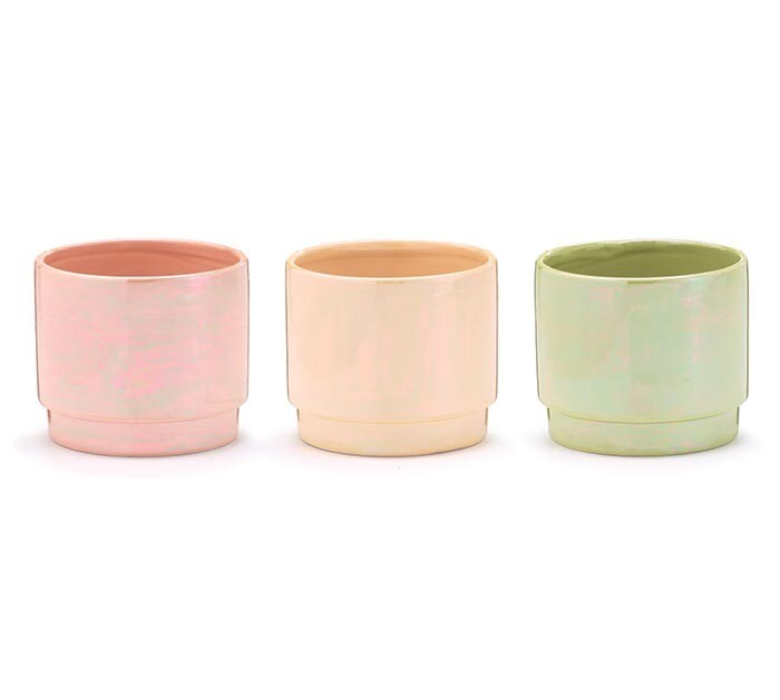 Spring Iridescent Planters