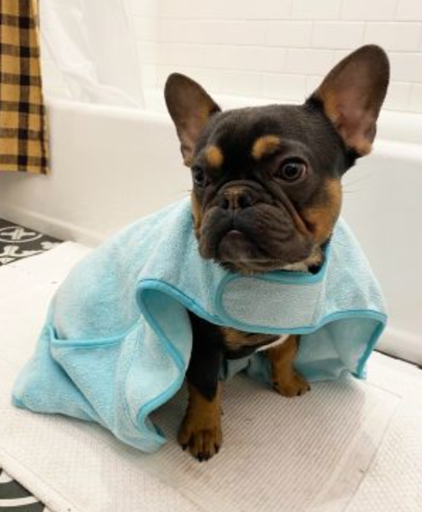 Dog Cape Towel 27" x 27"