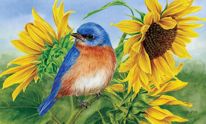 Bluebird Sunflowers Mat