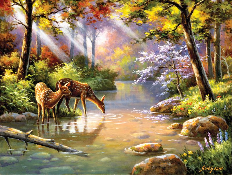 Doe Re Me Creek 300