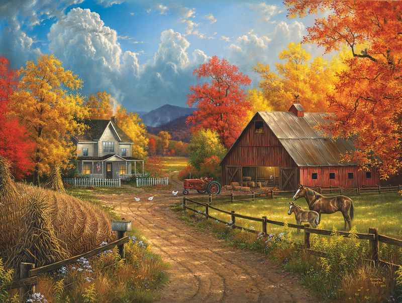 Country Blessings 300