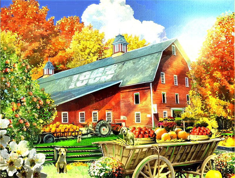 Fall Foliage 500