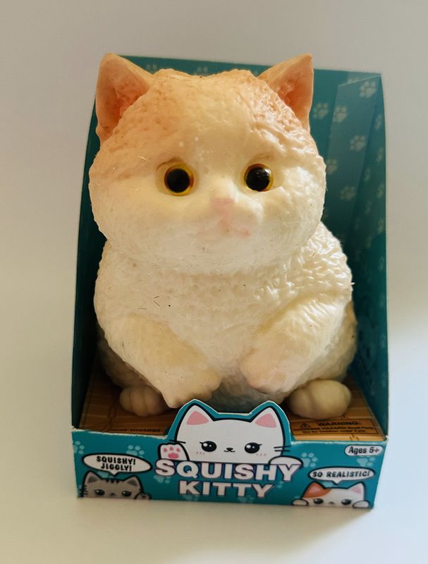 Squishy Kitty