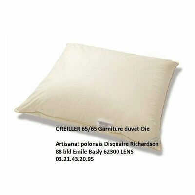 OREILLER 60X60 en plume et duvet d'oie 900gr.