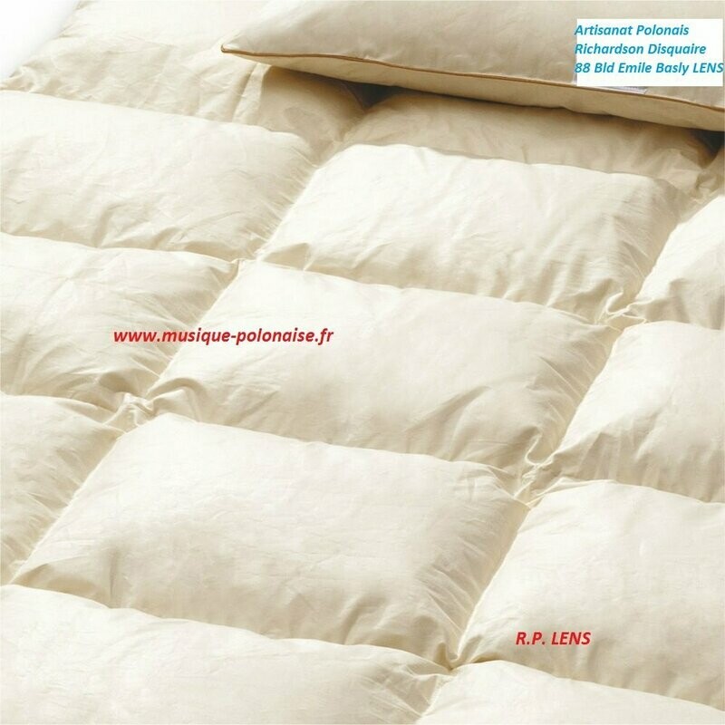 couette en duvet d'oie naturel 110x135 + oreille40x60 
couette bébé