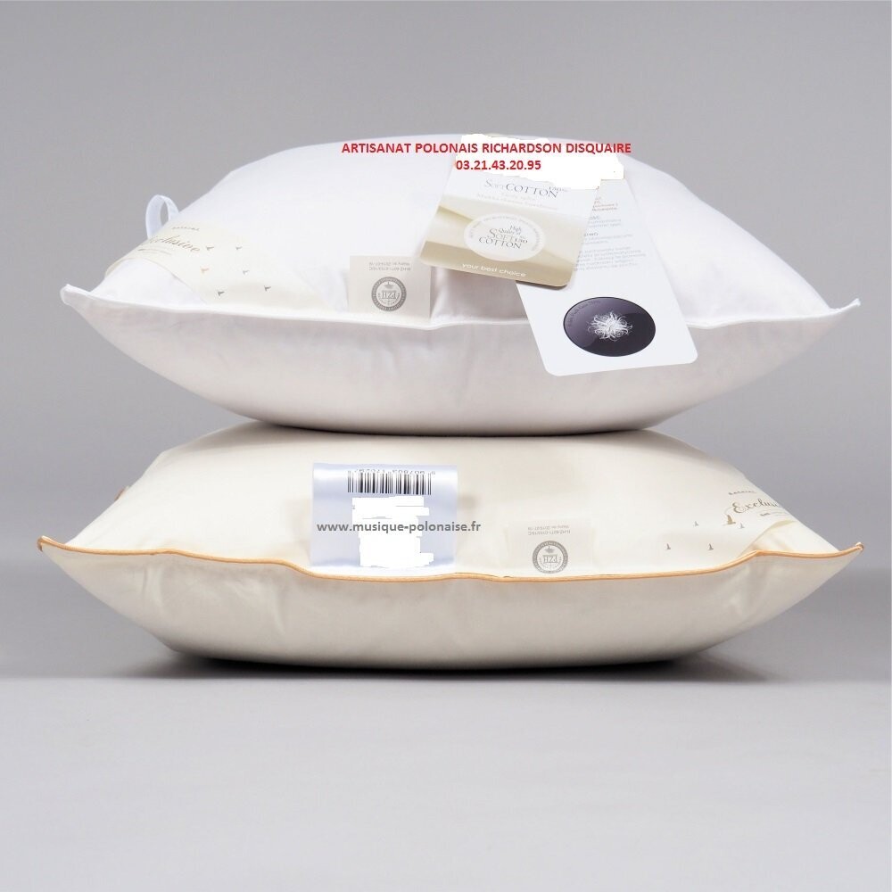 OREILLER en duvet oie 50x60cm