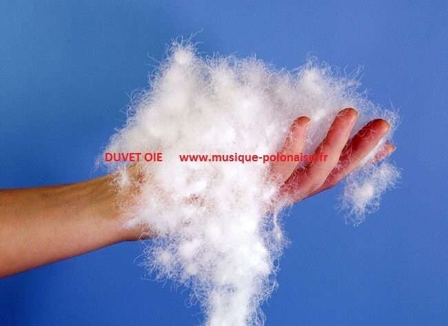 OREILLER en duvet d'oie 70x80cm 1500gr.