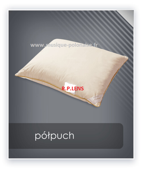 OREILLER 65 X 65 en plume et duvet d'oie 980gr.