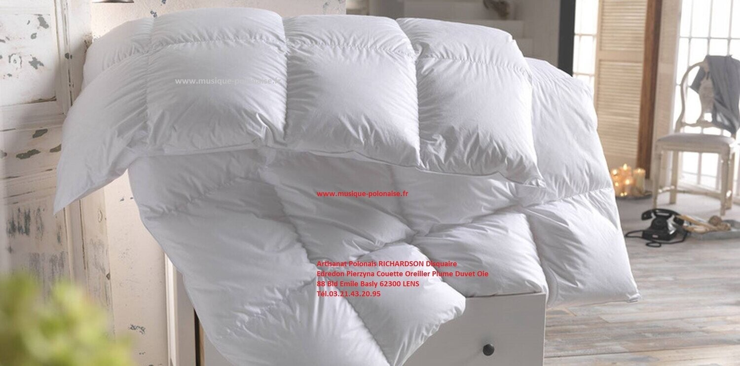 COUETTE en DUVET OIE 240x220 LUXE eider 3000 gr.