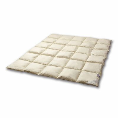 COUETTE en Plume Duvet OIE 220X200 2700 gr. COUETTE en Plume Duvet OIE 220X200 2700 gr.