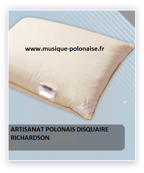 OREILLER 65 X 65 en plume et duvet d'oie 980gr.