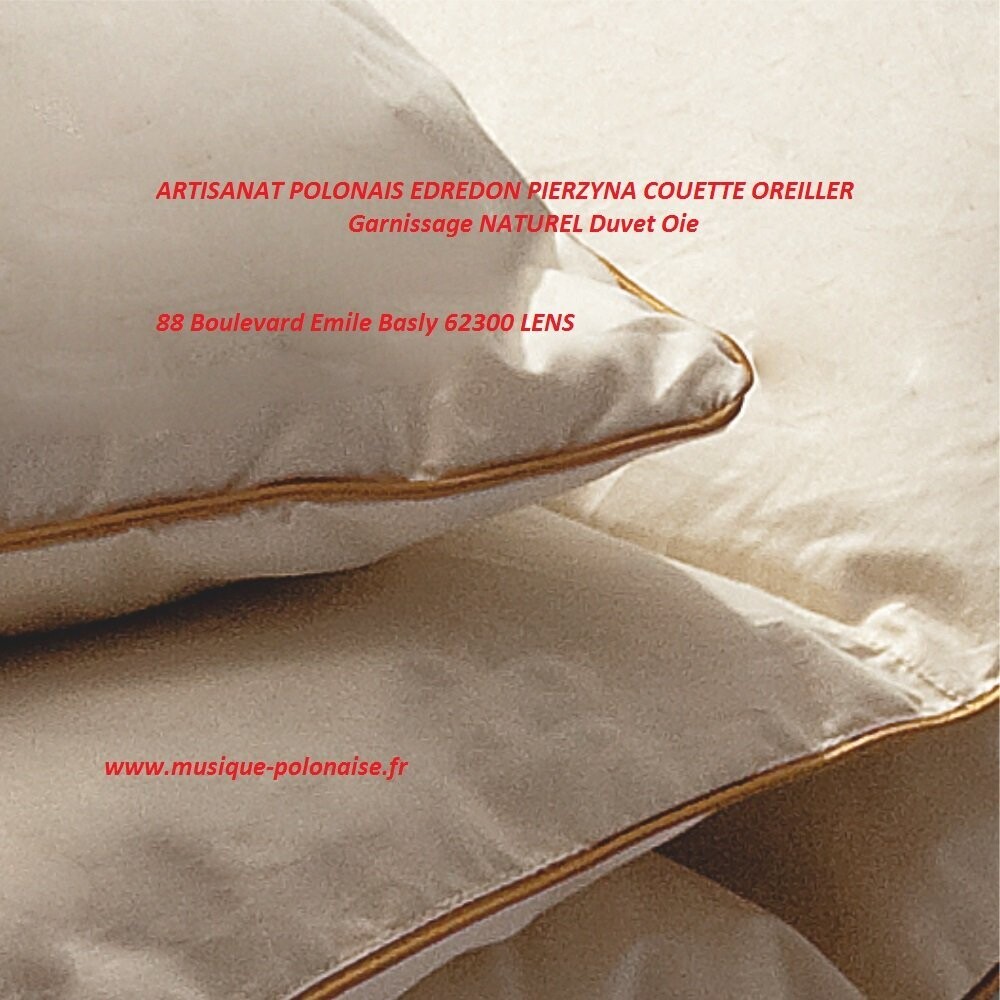 OREILLER 50x70 en Plume et Duvet OIE